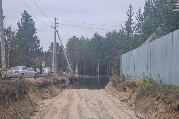 Затопление дач 💧: Вода вышла за берега