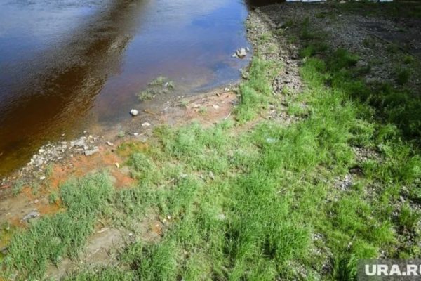 Трагедия в Гыданской тундре: пропавший подросток найден мертвым